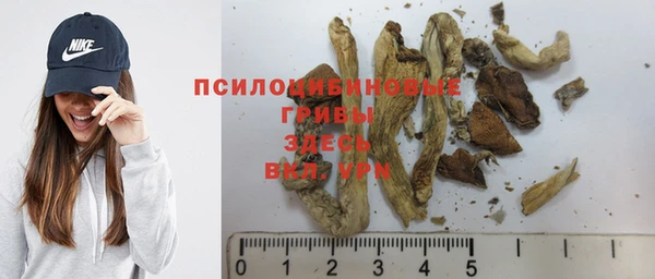 соль курить ск Бородино