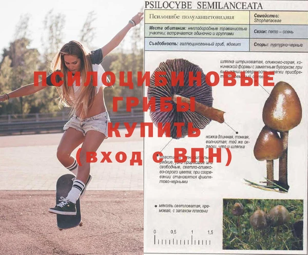 соль курить ск Бородино
