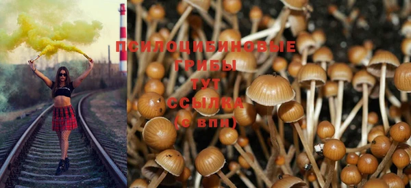 mdpv Бугульма